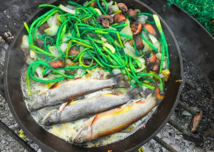 Vitamin D: Was du wirklich wissen musst – Mangel erkennen, richtig supplementieren, sicher dosieren