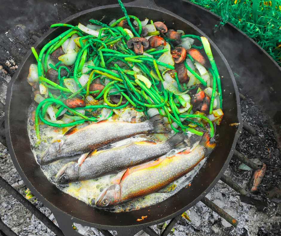 Vitamin D: Was du wirklich wissen musst – Mangel erkennen, richtig supplementieren, sicher dosieren